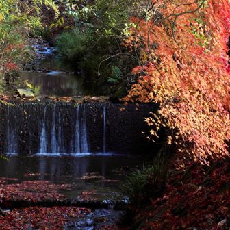 今日も楽しく歩けてよかった😊