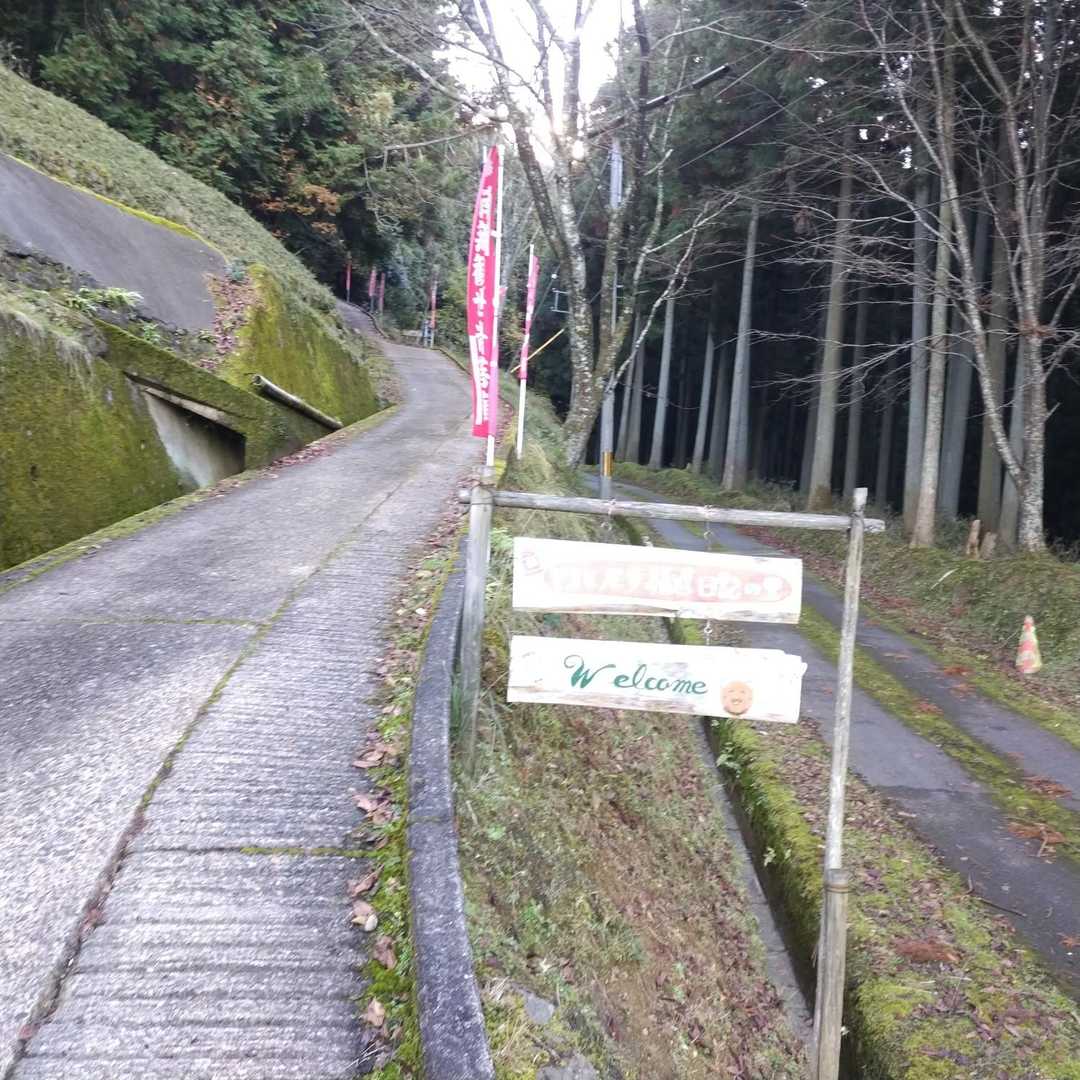 車道歩いて、急登の参道を進みます^^;