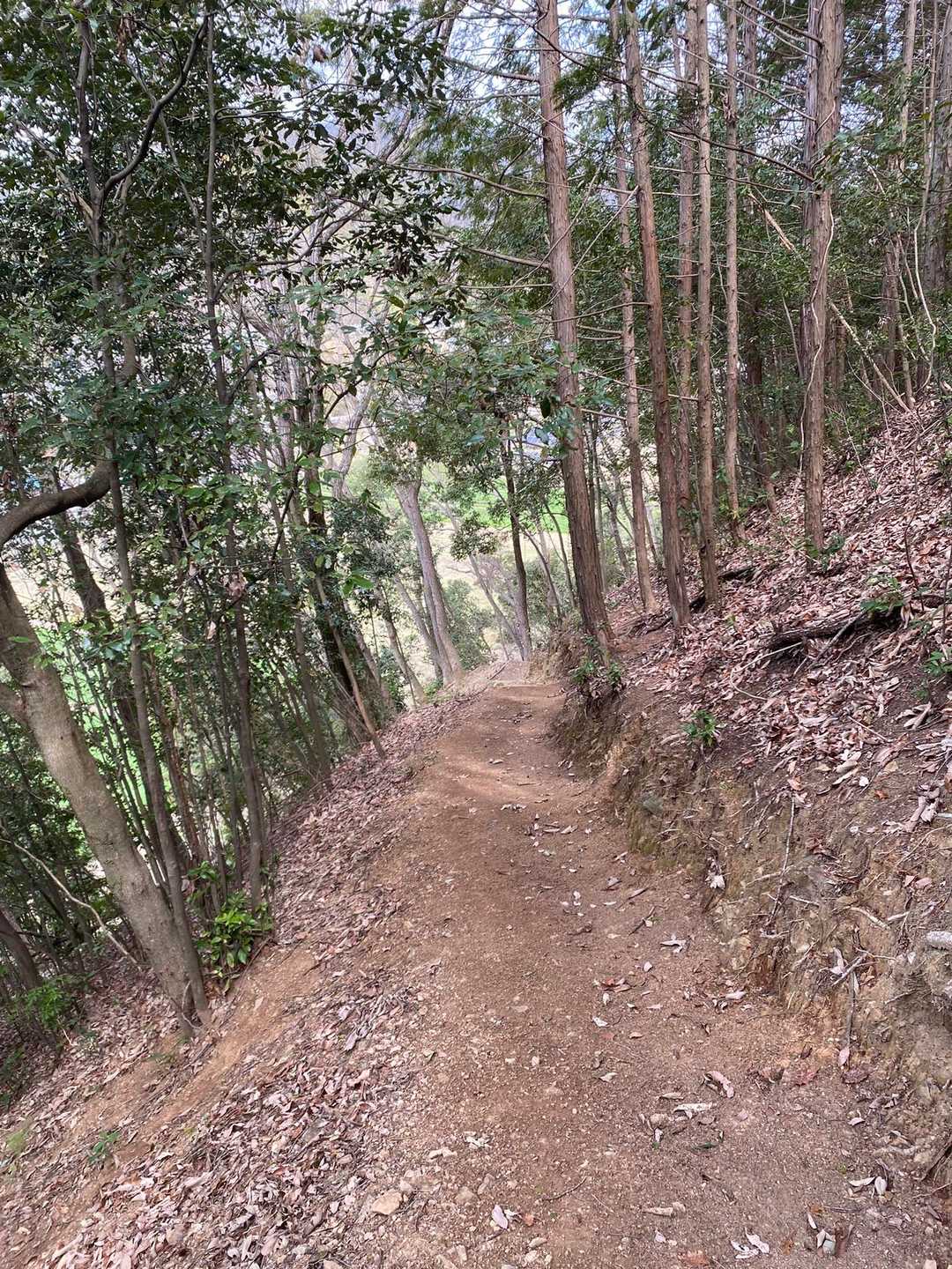 気持ち良くて吸い寄せられる様にトレイルー🏃‍♀️✨
あっ…ちゃうわ…道間違えた…こっちに行ったらゲザーン😅
いきなり帰るとこやったわ…