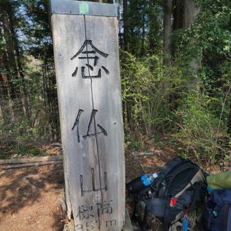 やっと念仏山
以前はココまで来て引き返したけど、正解でした。念仏山から高取山までは遠いわ。