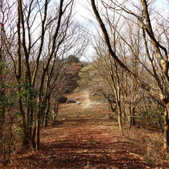 葉が落ちてトレイルに光が行き渡る季節