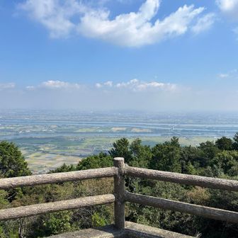 涼しい
