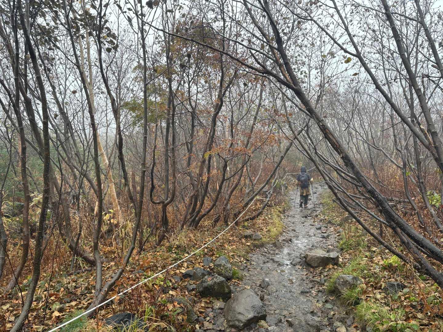 降ってても登る人はけっこうな人数いました！

下山時にレインウェアを着てない人が登ってきてびびった！ズボンがびっしょりの私が言うのもなんだけど。