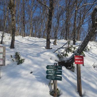 北半面山を目指します🙋