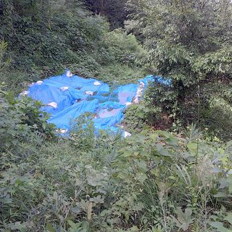 下山途中の発掘現場？