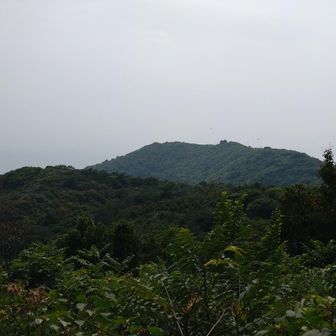これから向う上盛山かな？