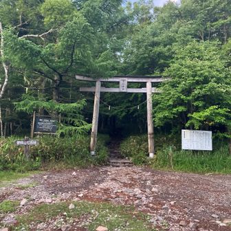 鳥居の前の空き地に駐車している人がいました。