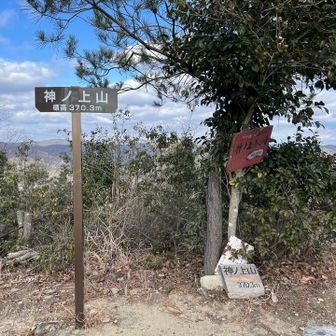 神ノ上山山頂