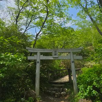 ⛩️お疲れ⛰️
可愛いワンちゃん連れたお二人が登る準備をされてました🚶‍♀️🚶‍♀️
2年前の三本槍から戻り峰から三斗方面に向かって茶臼登った方が距離有るんだねぇ🤔
しっかし、裏那須お気に入りになりましたよ👍