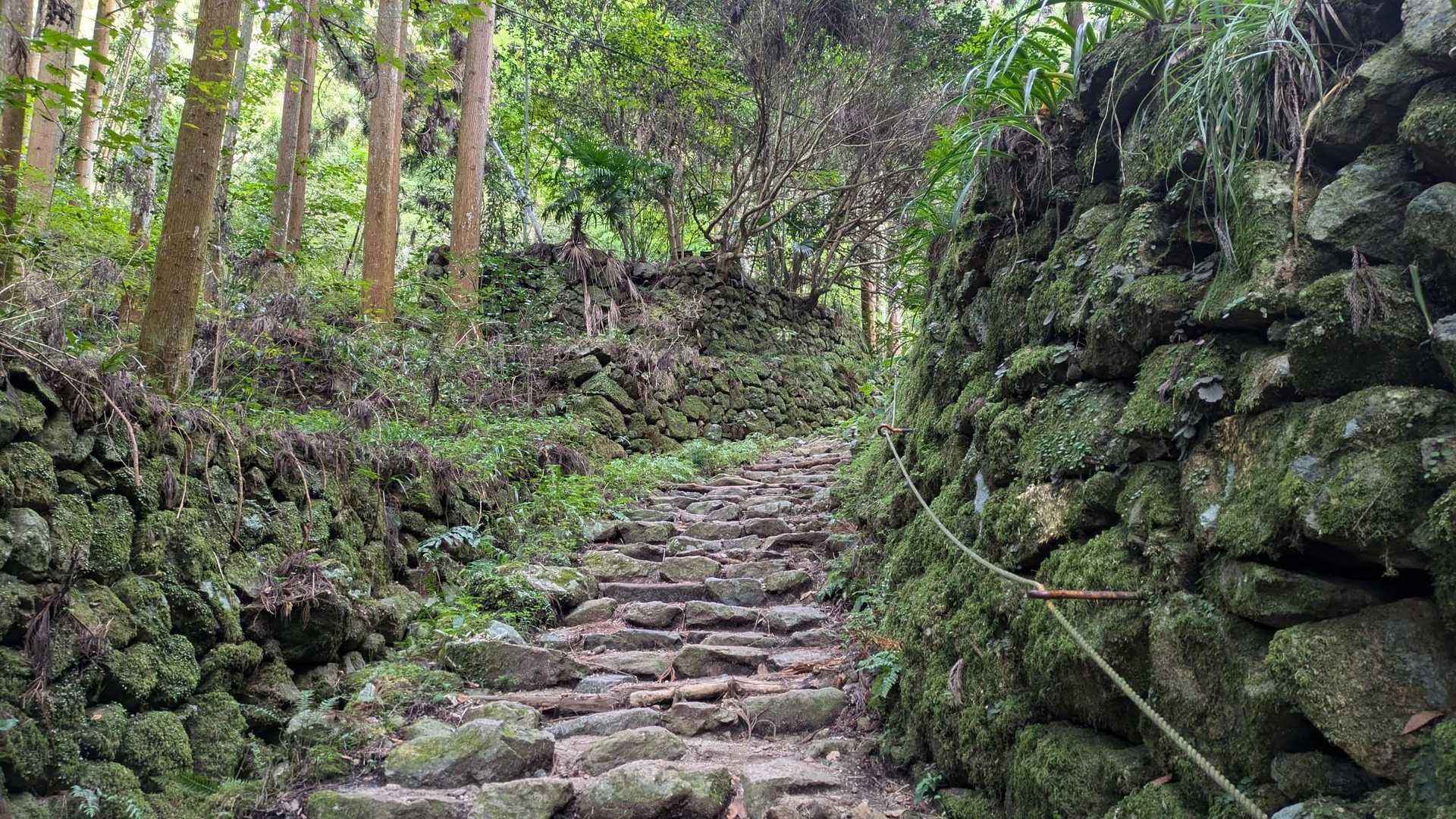 猿子城山-ボテ峠-施福寺-槇尾山バス停 周回コースの写真
