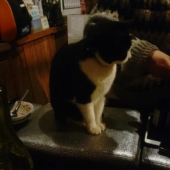 [七ツ石小屋]
小屋で飲み会続行。相次ぐ山林火災の恐怖、困った登山者などの話で盛り上がっていると、でんごろうさんが飲み会に乱入。