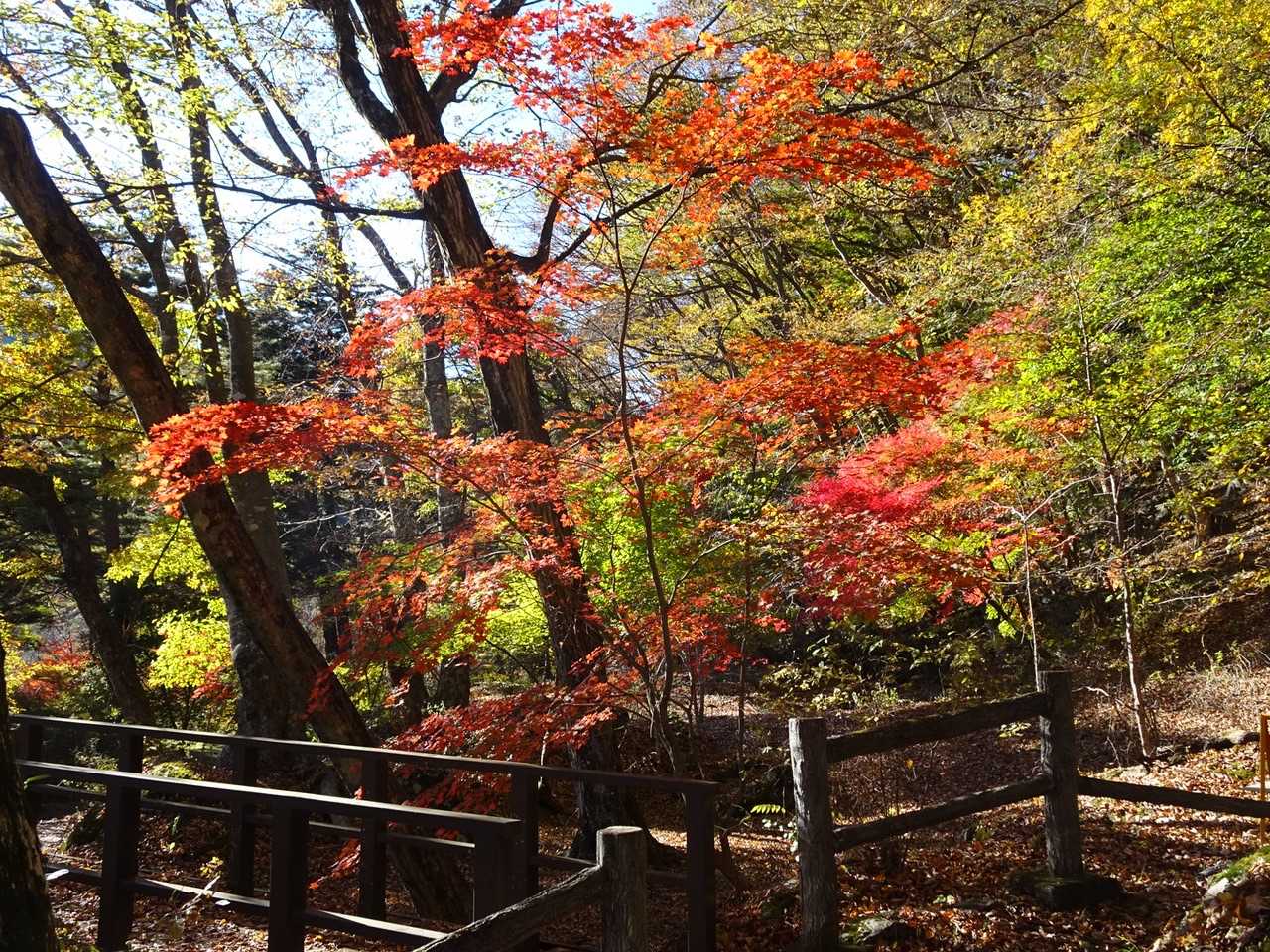 登山口まで行くのに、公園を通って行きます。