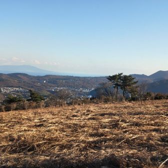 大陸に見えるのは大島か