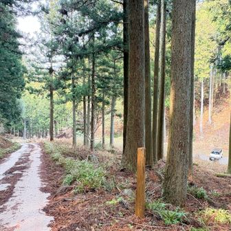 お！？　相方発見💡ただいま〜　待たせたね〜