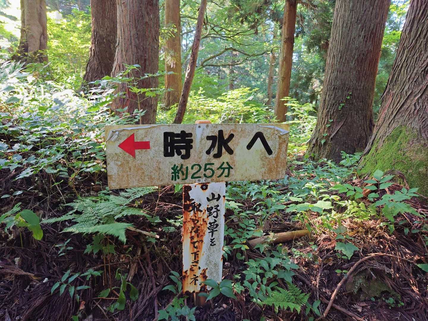 中間点