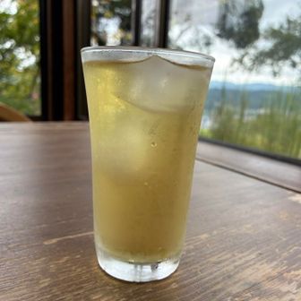 りんご🍎ジュース
「キノコがありましたか？」とご主人　明日はキノコ狩りのお客さんがいらっしゃるんだそうです
撮った写真を観てもらうと、
「タマゴタケは食べると美味しいですからね　喜ばれるなぁ」
えーーーっ　採っちゃうの⁈ಠ_ಠ