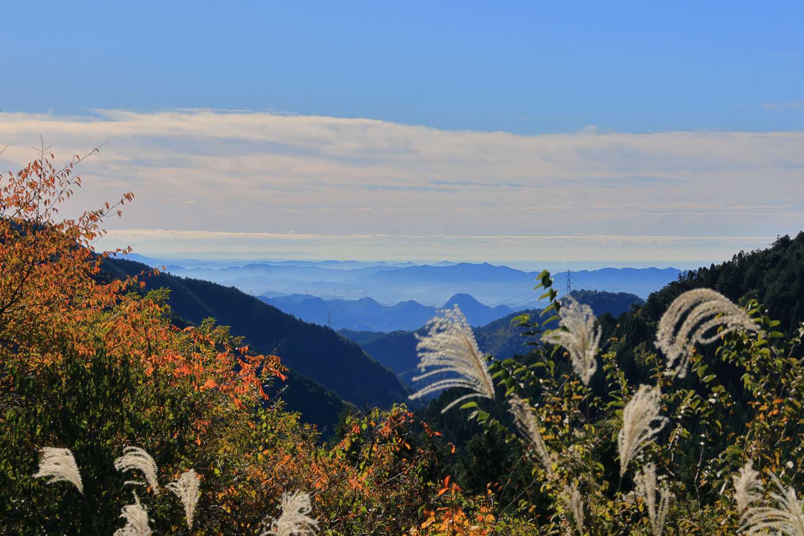 瓢ヶ岳 周回コースの写真