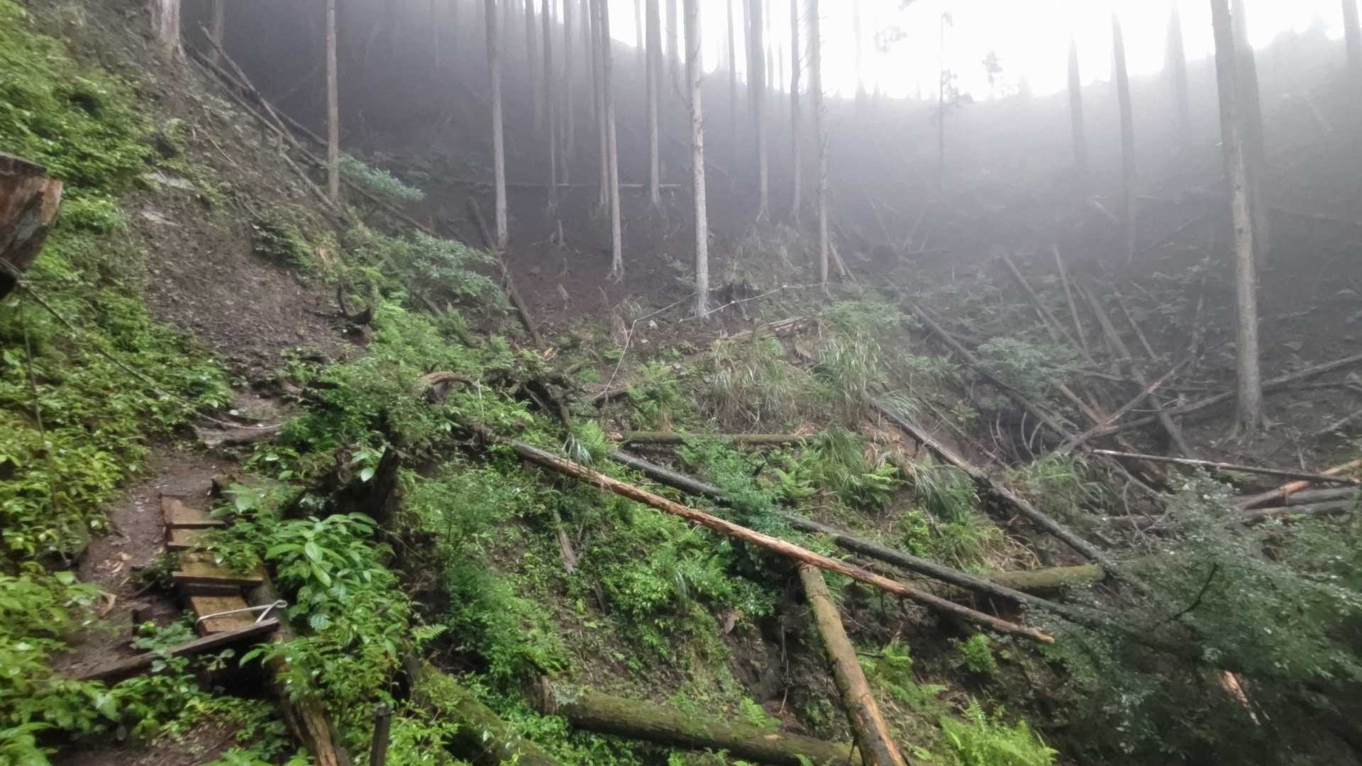 竜爪山- 竜爪山 往復コースの写真