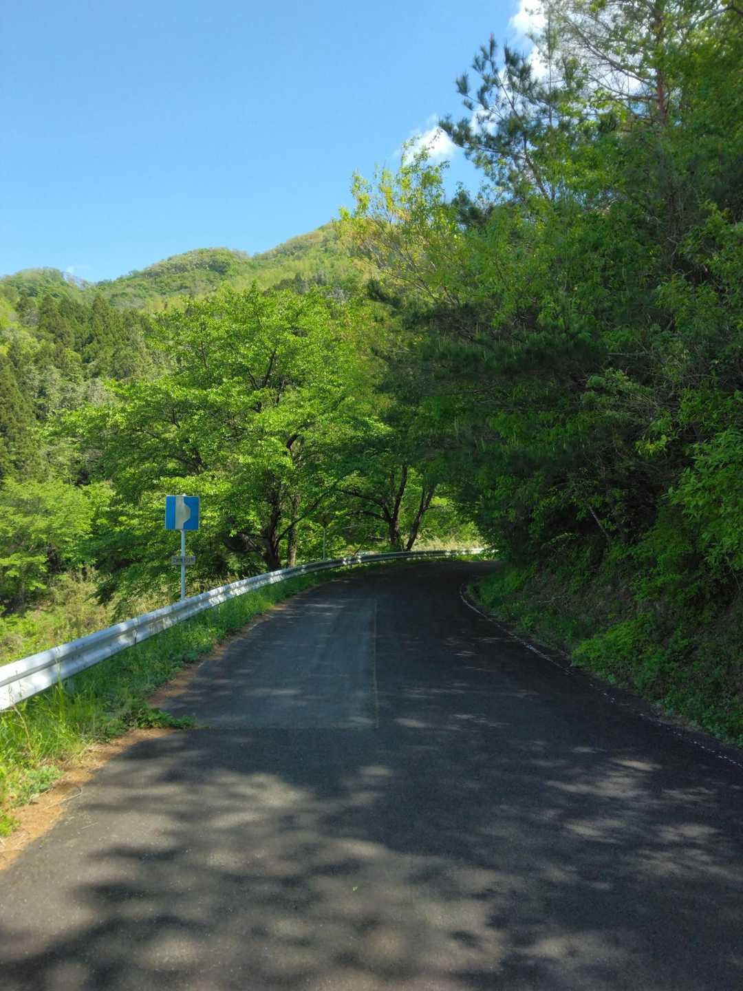 車道を少し歩きます