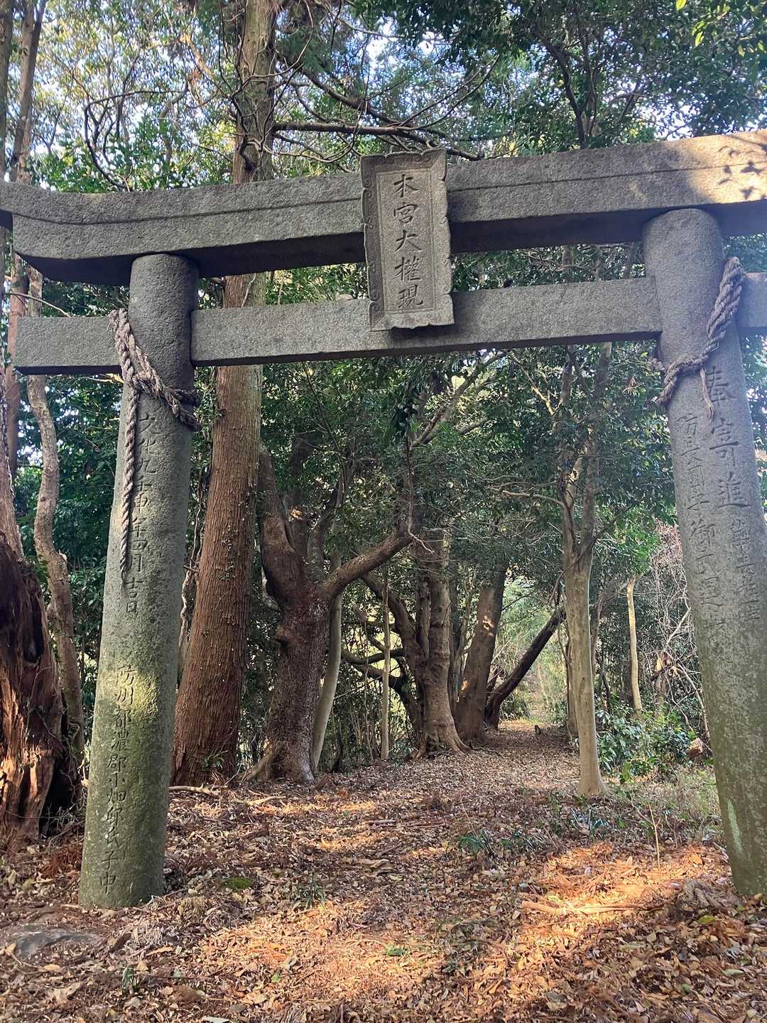 四熊ヶ岳登山口-四熊ヶ岳-法師ヶ岳 往復コースの写真