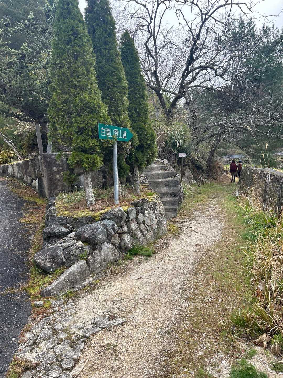 登山口に到着
まずは樹林帯を歩きます