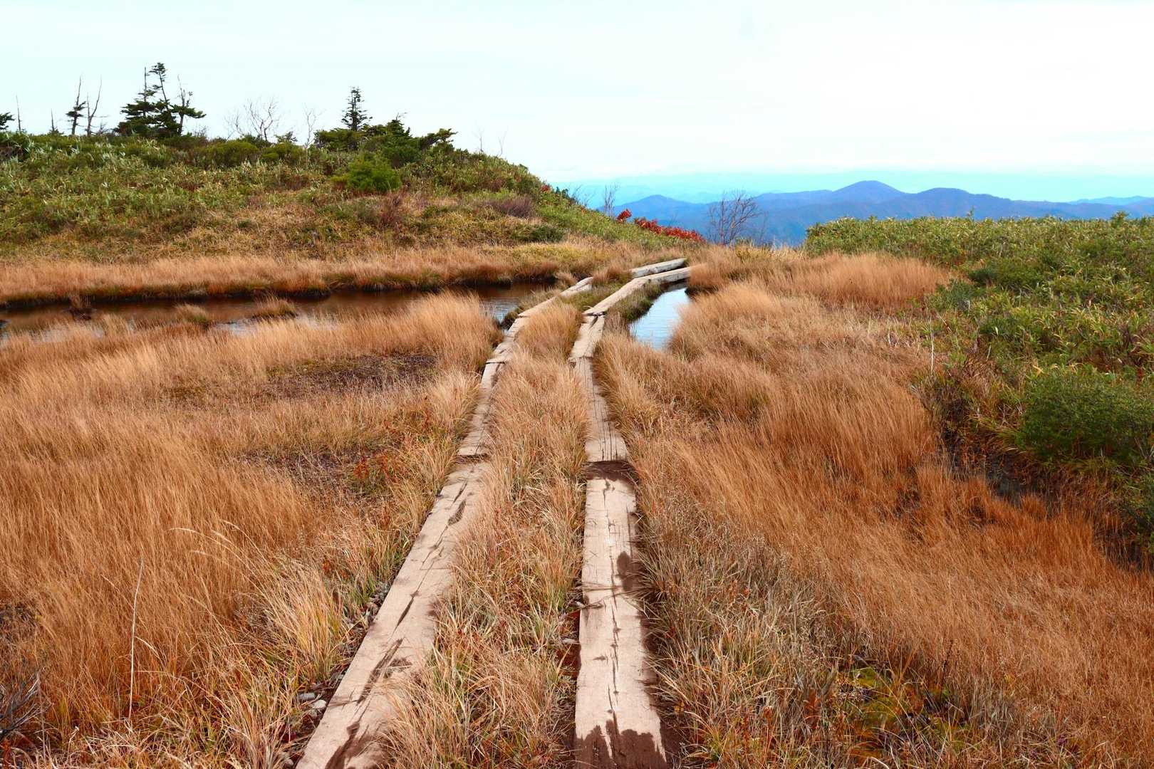 小さい湿原を通る