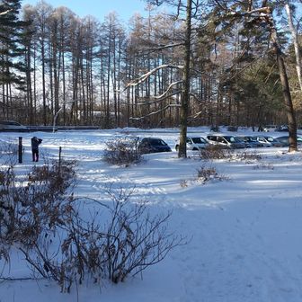 この広い駐車場からスタート