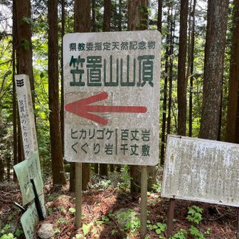 山頂は向こう…なの⁉️