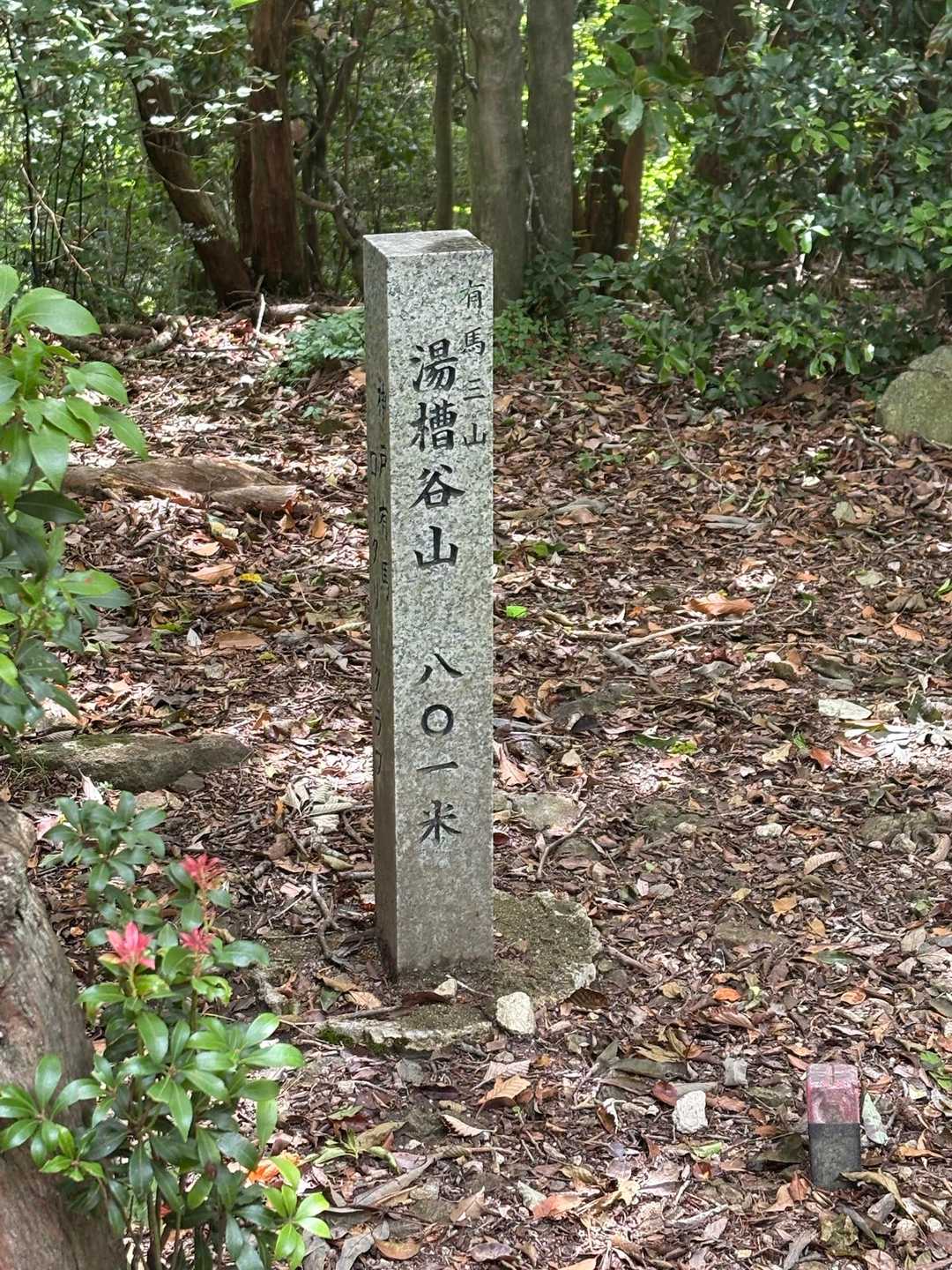 三座目は湯槽谷山(ゆぶね)