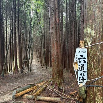 六道の辻⬆️