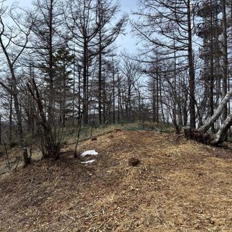 山頂表記には入れませんがピークゲットは出来ていました。