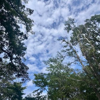 ベンチで休憩！久しぶりの青空✨