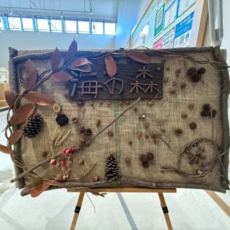 海の森　松ぼっくりとかで作ってあったよ☺️