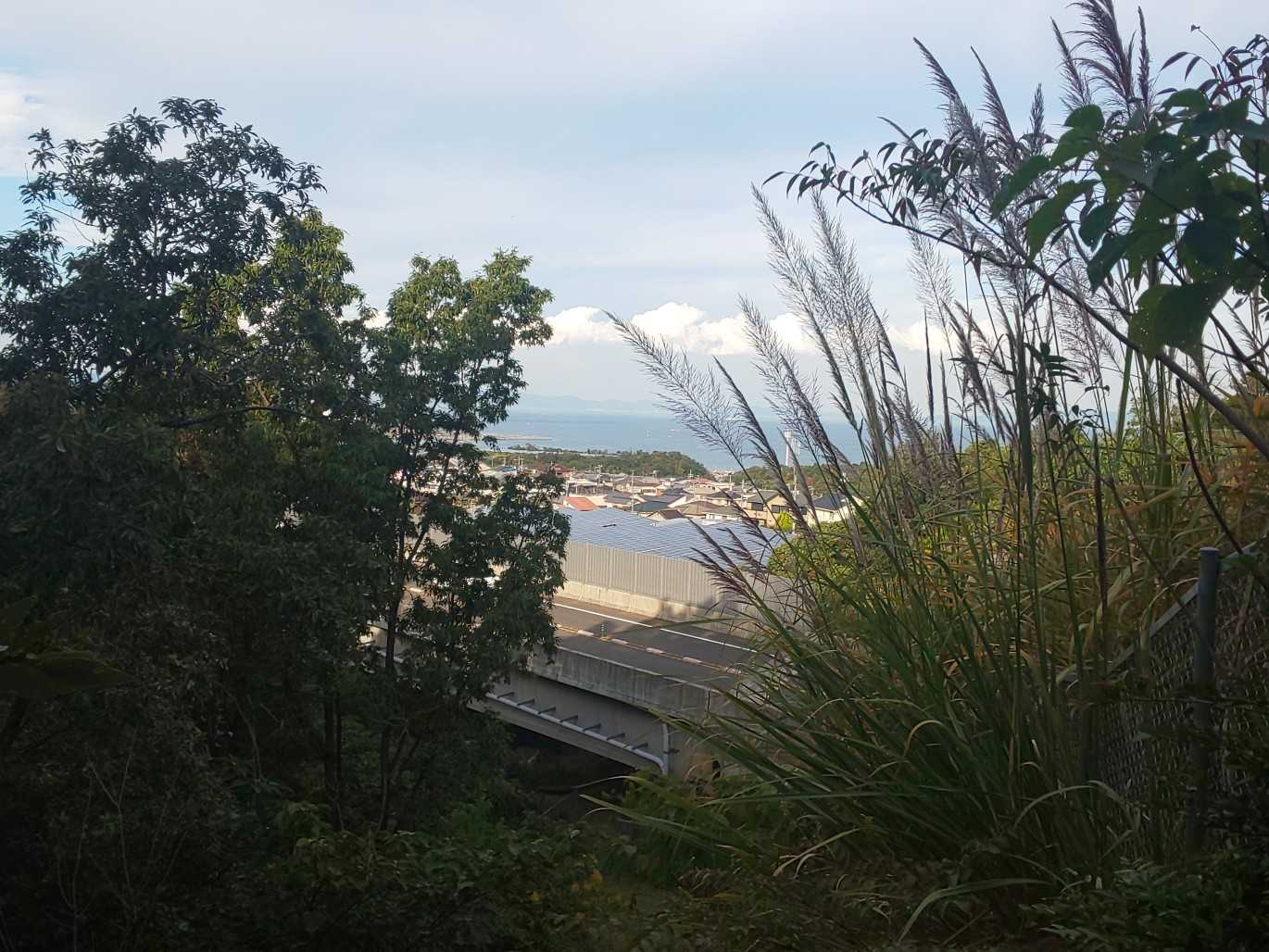 そしてのぼる
振り返ると海が見えて、我慢できずに撮るも、早すぎた
海写ってない！