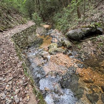 滝の水が川に流れています。