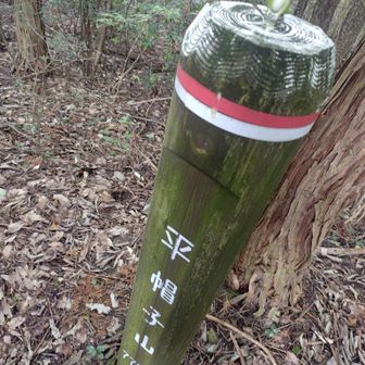 到着
山頂感のない場所