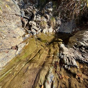 薄く氷の膜が張ってました。