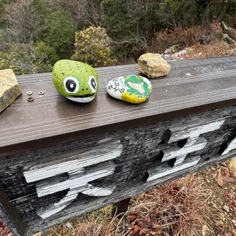 ここにもカエル🐸