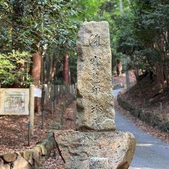 東海自然歩道に合流
ようやく人間とすれ違い