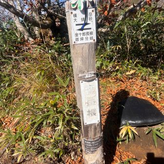 階段って、大変だよね💦