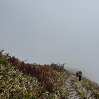 霧の中