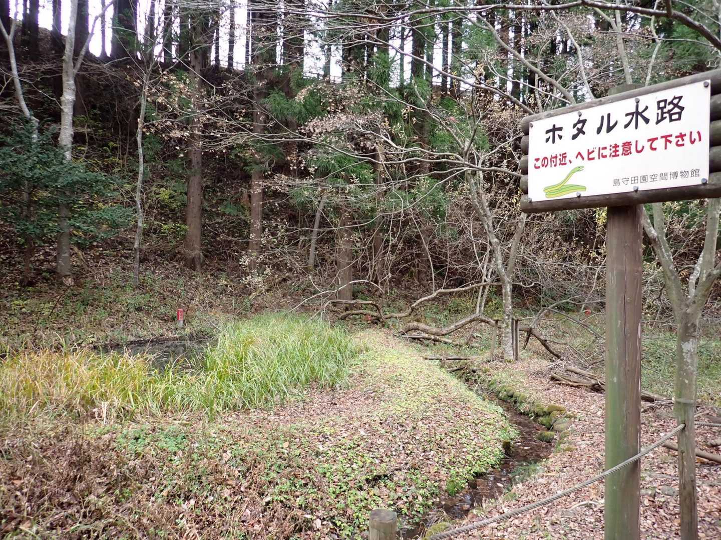 ホタルの水路