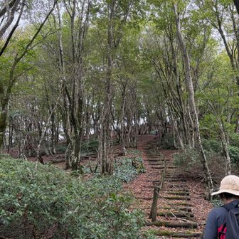 最後だけキツい階段の登りが