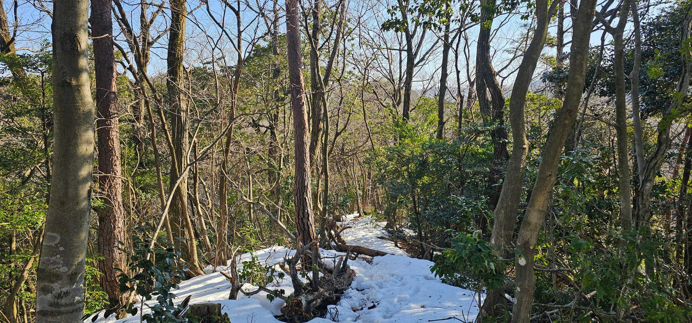 遣水観音山 周回コースの写真