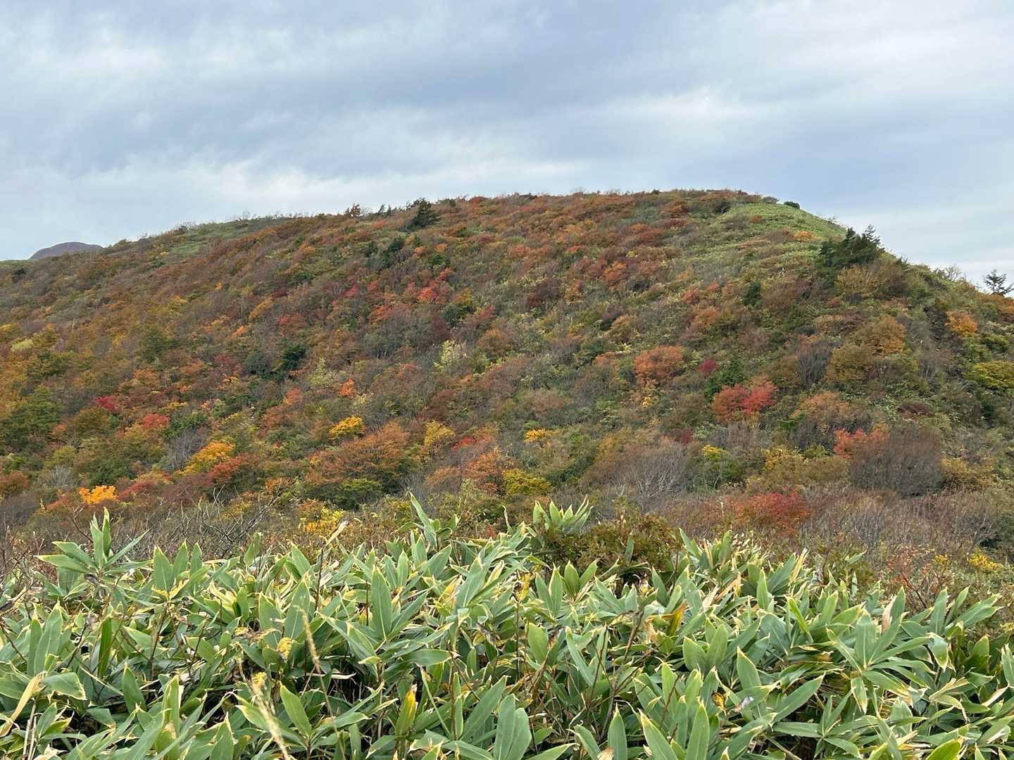 大関山-ハマグリ山-トンガリ山-山形神室岳-ダンゴ平-仙台 往復コースの写真
