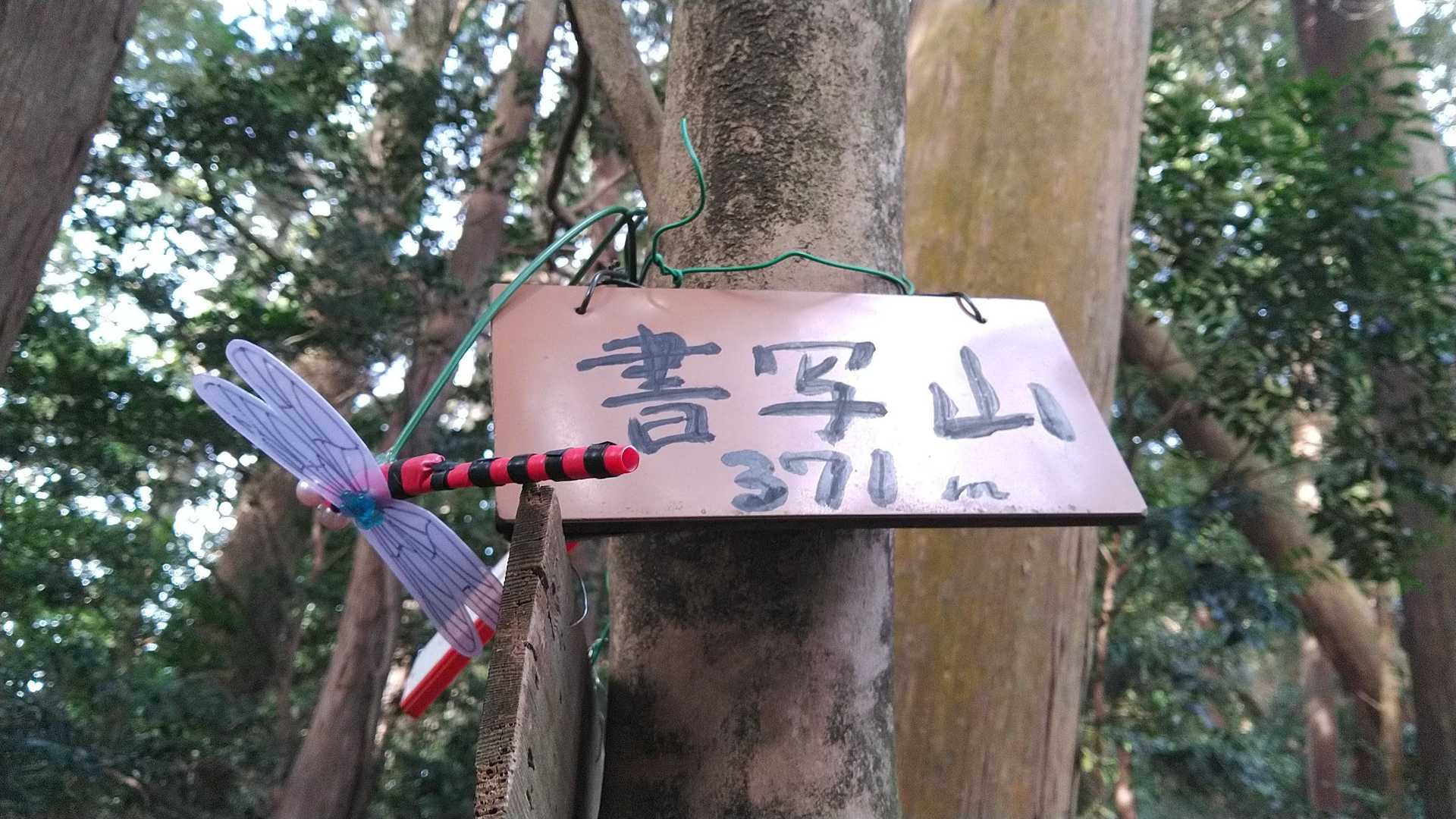 六角坂登山口 往復コースの写真