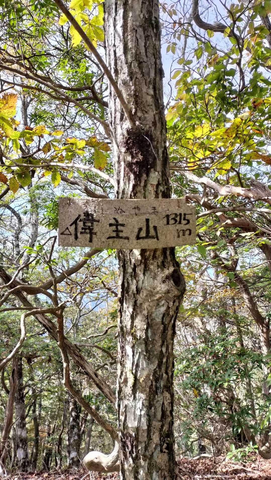 偉主山に着きました👏✨️
眺望は…🤔
