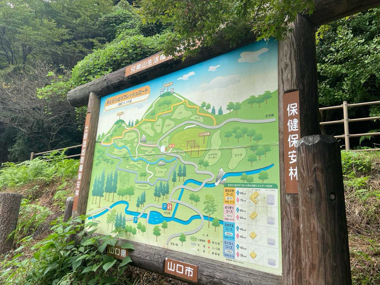 いろんなコースがある！