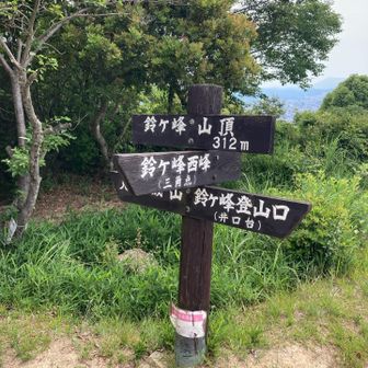 ただいま🪧