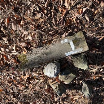 ピークの標識らしきものが…
良くみると…👀